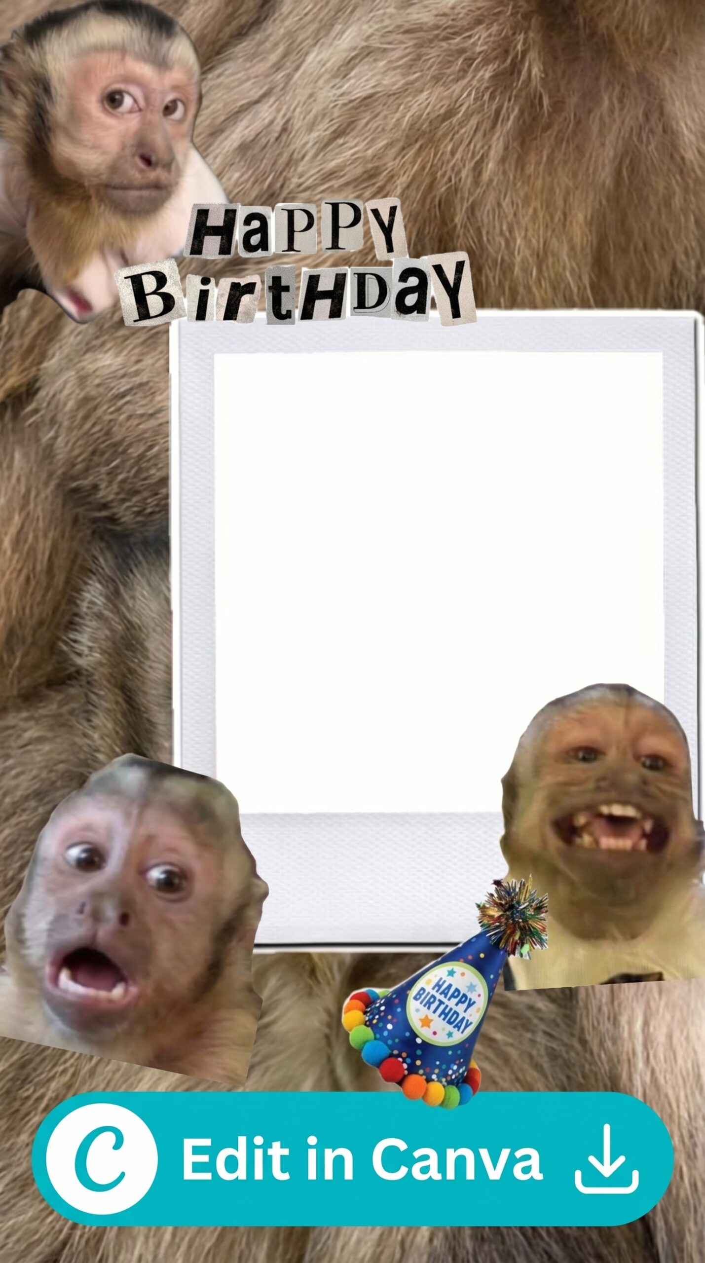 birthday invitation background design fun monkey theme printable editable