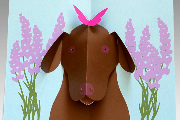Pop-up Card animals design 8 birthday printable