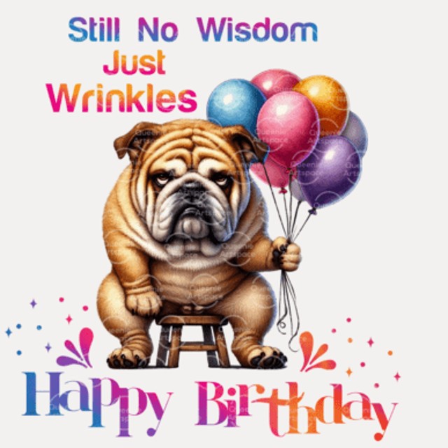 Funny Birthday Cards