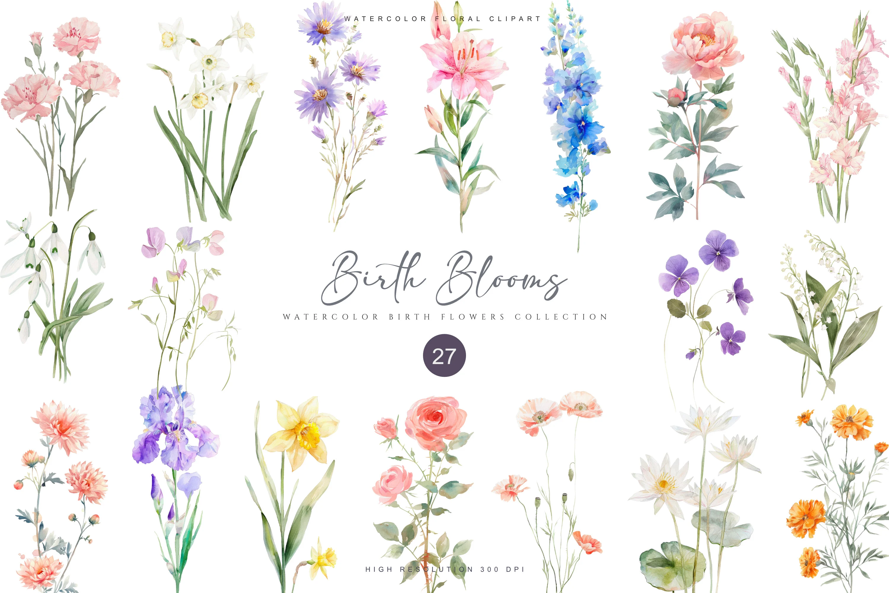 Watercolor Birth Flowers Collection preview
